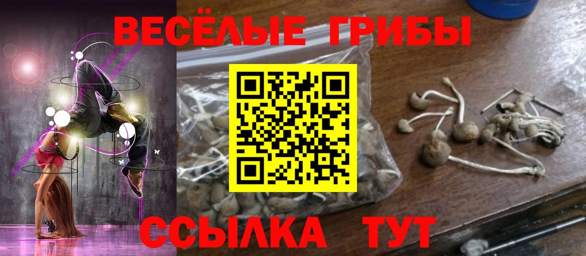 Псилоцибиновые грибы ЛСД  Галлюциногенные грибы мицелий  Вход с VPN  Майский 